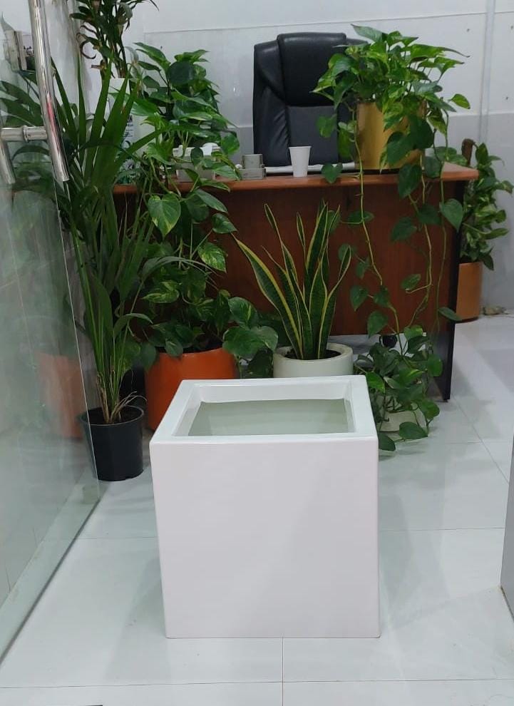 Fiber Glass Square Pot