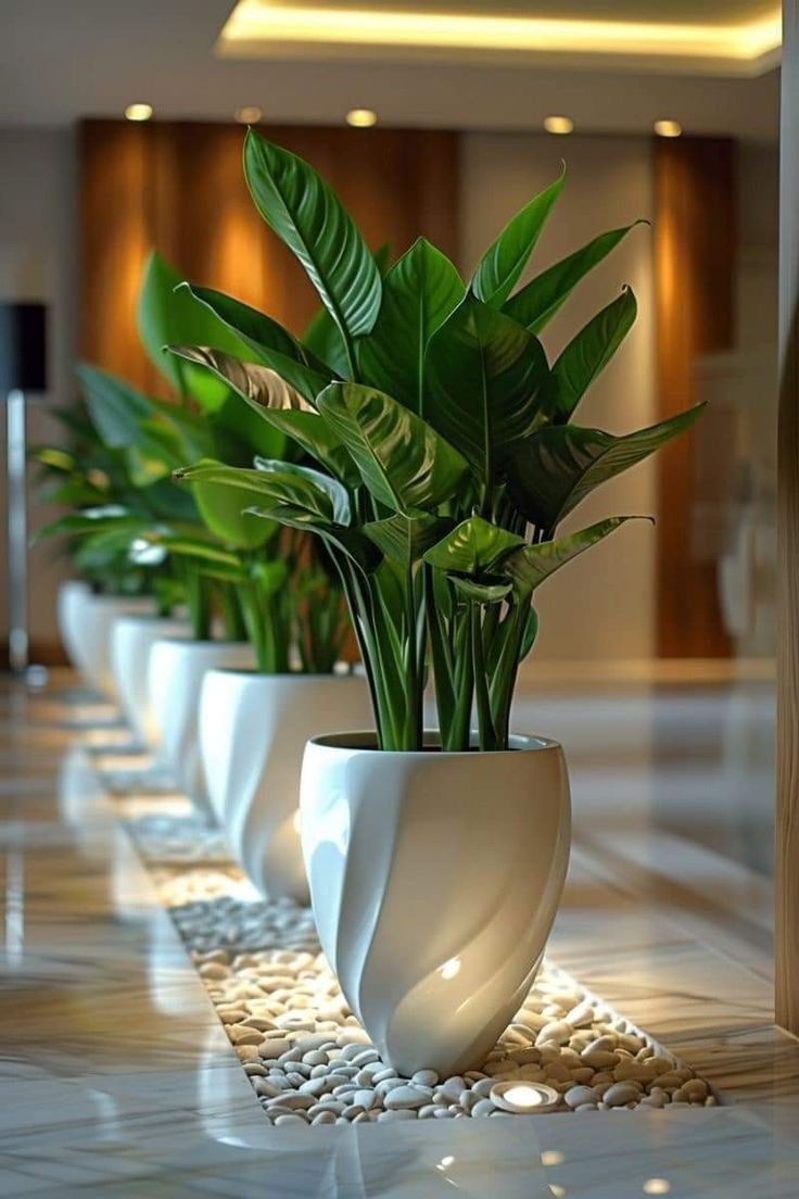 Pots Collection - Stylish Designs for Every Space