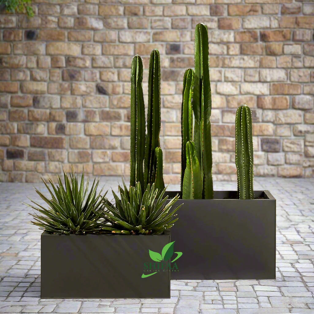 Rectangular Planter