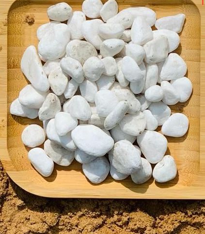 Snow White Stones/Pebbles