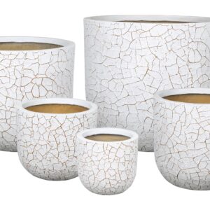 Fiber Clay Design Plant Pot/Vase