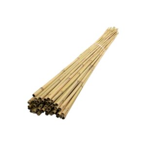 bamboo sticks/poles
