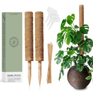 Moss stick/Pole