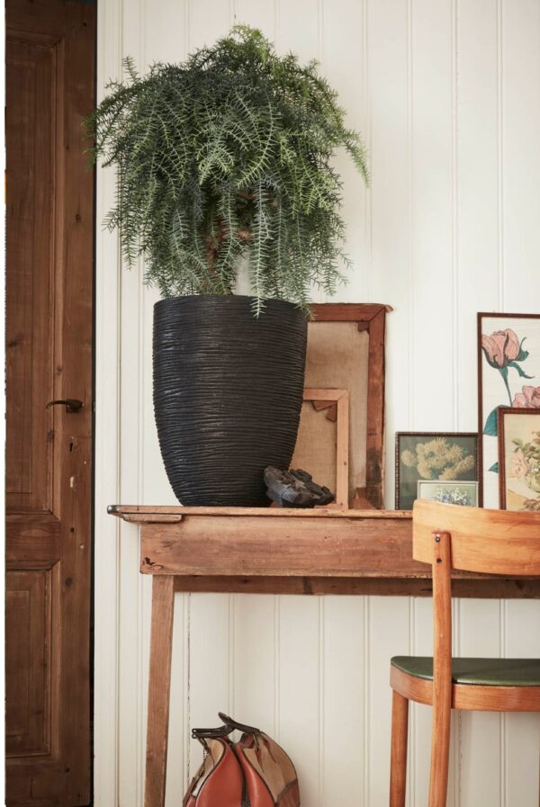 Nature Vase Elegant Low Rib NL