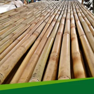 Bamboo Stick/Pole, Bamboo trellis & Bamboo Fence