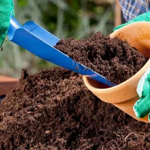 Potting Soil Collection